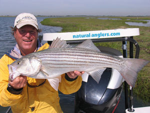 Striper fly fishing on the flats