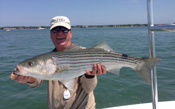 Fly fishing on the flats for striper