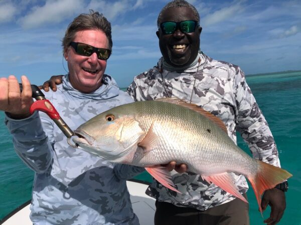 Mutton Snappers - Andros Bahamas