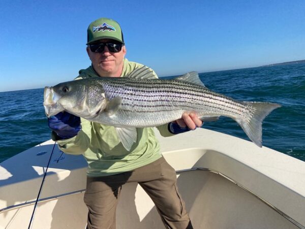 Montauk Fall Run Striped Bass