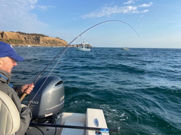 Montauk Fly Fishing Striped Bass