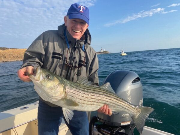 Montauk Fall Run Striped Bass