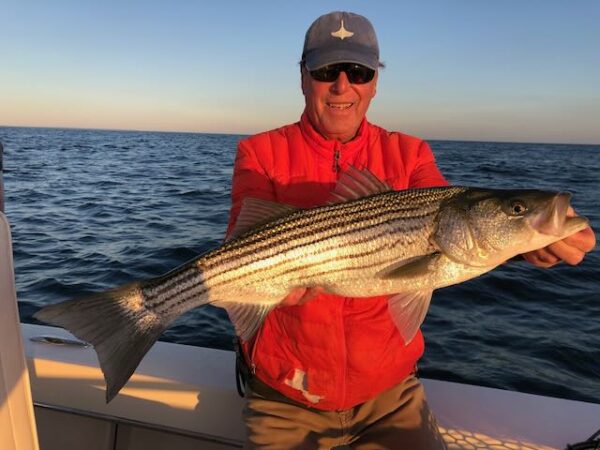 Montauk Fall Run Striped Bass