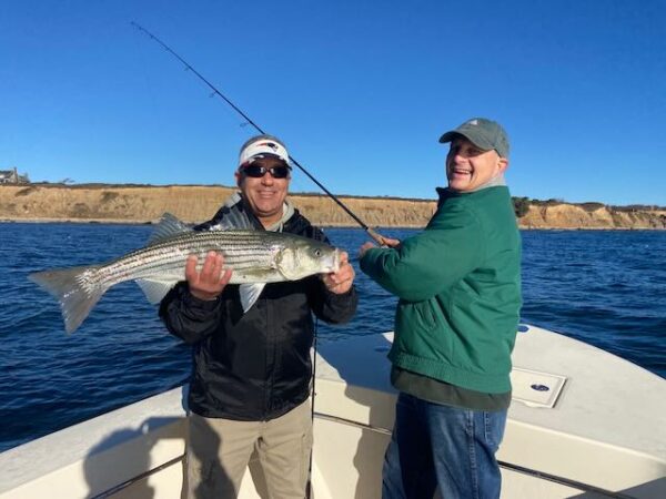 Montauk Fall Run Striped Bass