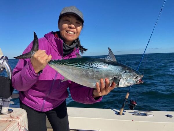 Montauk Fall Run False Albacore (Albie)