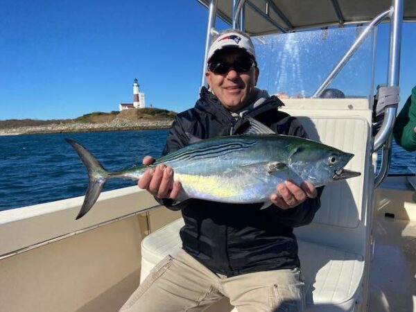 Montauk Fall Run False Albacore (Albie)