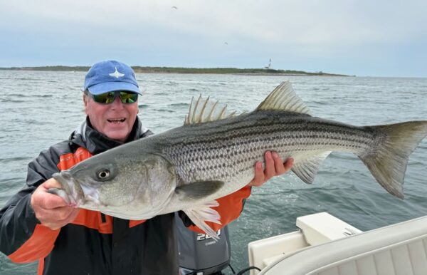 Big Striper - Montauk - Now!