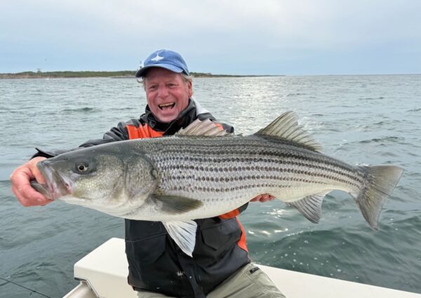 Big Striped Bass - Montauk - NOW!