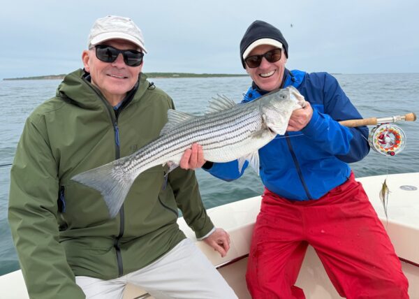 Striper on the fly - Montauk