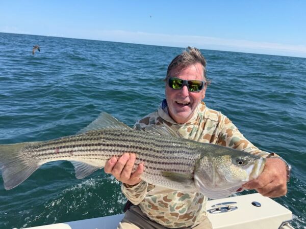 Montauk Fall Run - striped bass fishing