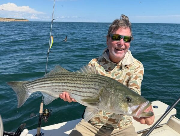 Montauk Fall Run - striped bass fishing
