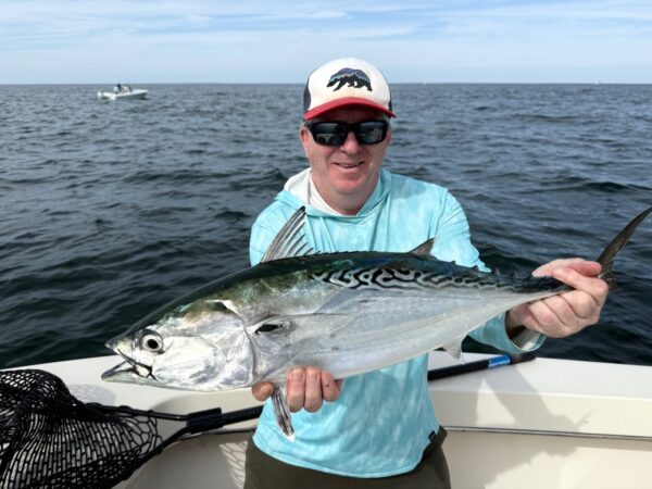 Montauk Fly Fishing Charter - Albie