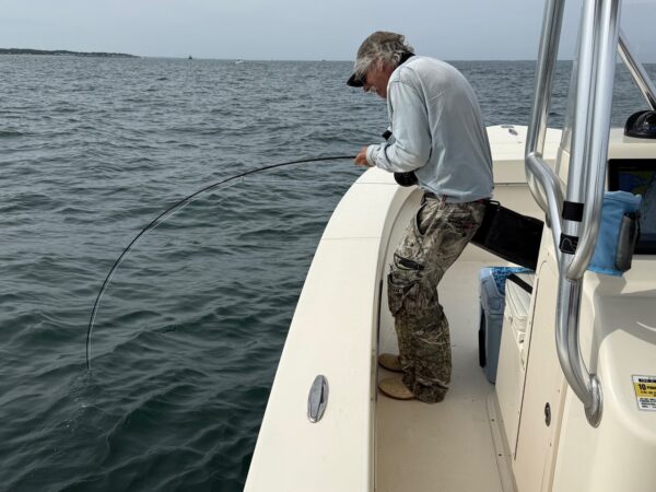 Glen Mikkelson fly fishing for Albies in Montauk with Natural Anglers Charters
