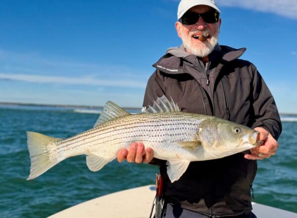 Montauk Fall Run Striped Bass- 2025