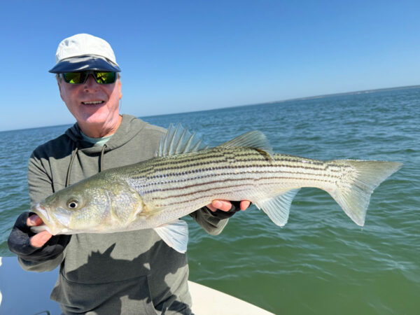 Fly fishing Montauk for Striped Bass