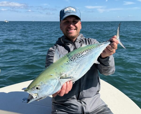 Montauk Fall Run - Albie