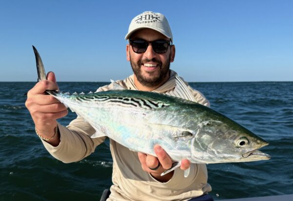 Montauk Fall Run - Albie