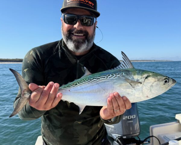 Montauk Fall Run Fishing for Albie