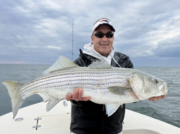 Montauk Striped Bass Fishing 2026