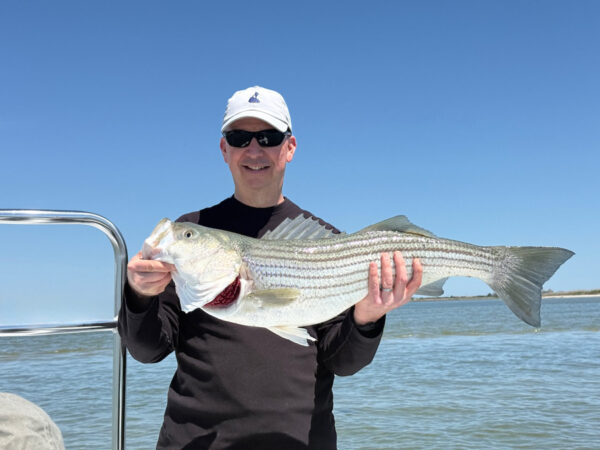 Sight Fishing for Striped Bass Fishing 2026
