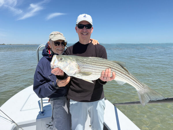 Sight Fishing for Striped Bass Fishing 2026