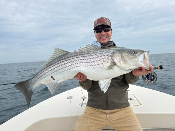 Montauk Fly Fishing for Striped Bass 2026