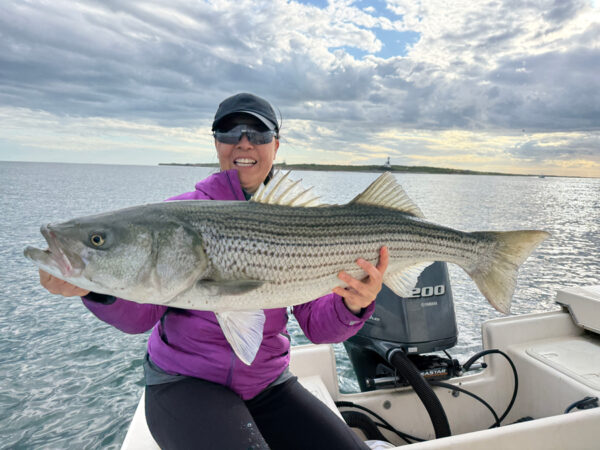 Montauk Spring Run Striped Bass Fishing 2026